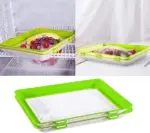 Environmentally Friendly Design - Reusable Food Preserving Tray - Image 15