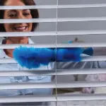 Electric Duster - Image 3