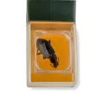 Quick-Release Bug Catching Tool and Magnifier - Image 5